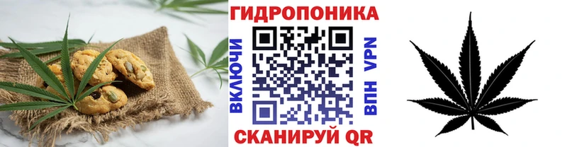 OMG онион  купить наркоту  Яхрома  Еда ТГК конопля 