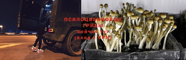 кокаин Нея