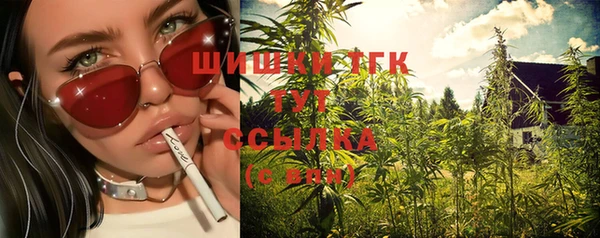 ECSTASY Нефтекумск